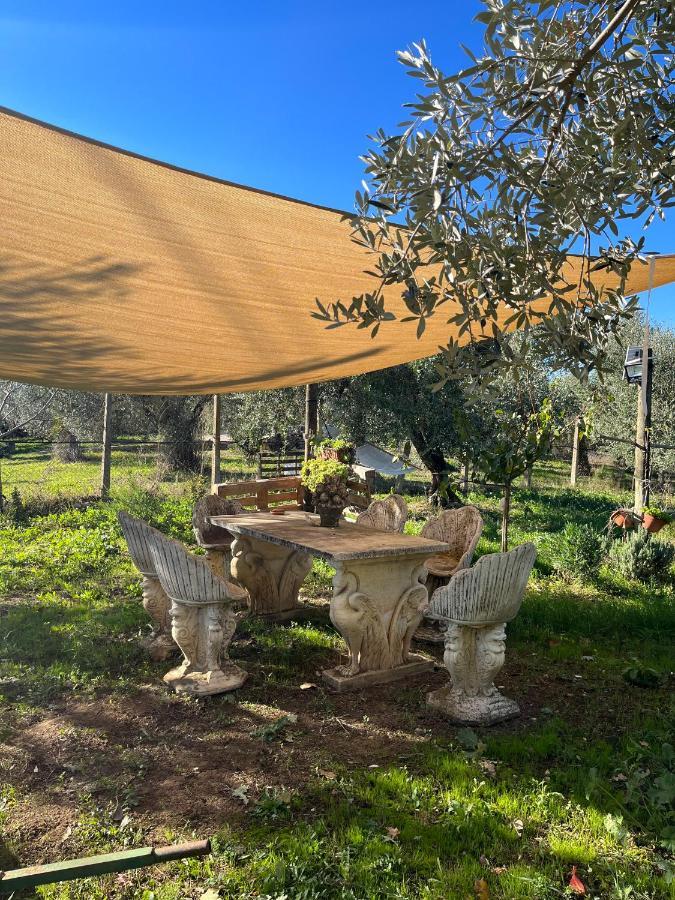 Colle Perazzoni Apartman Fiano Romano Kültér fotó