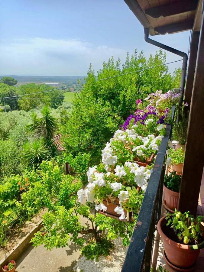 Colle Perazzoni Apartman Fiano Romano Kültér fotó