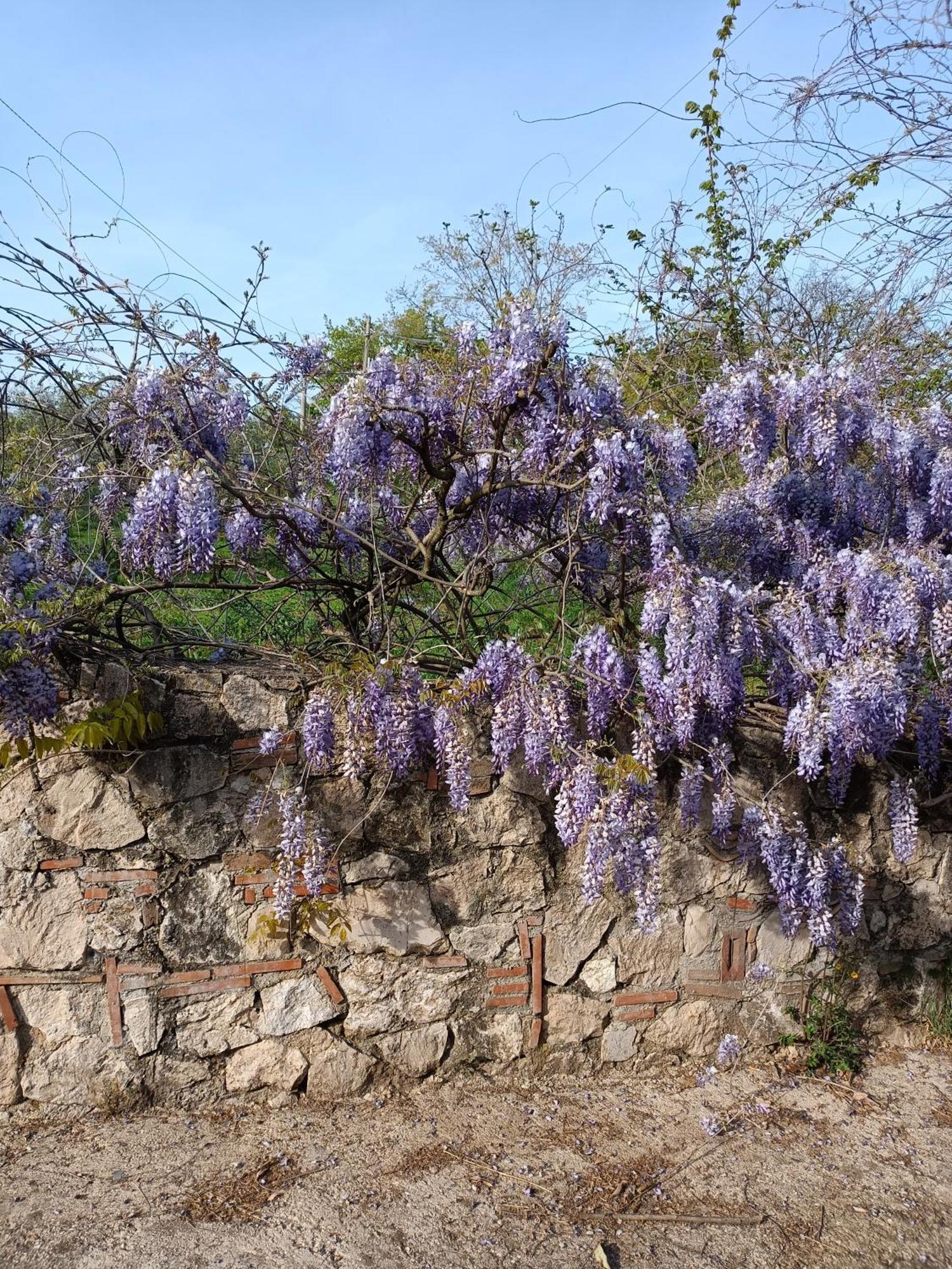 Colle Perazzoni Apartman Fiano Romano Kültér fotó