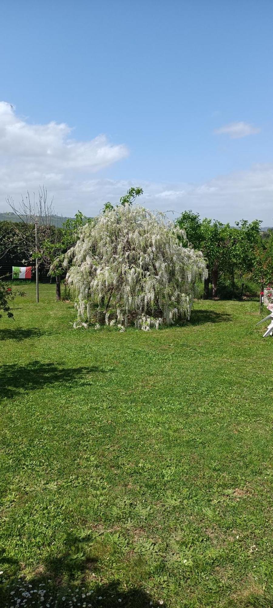 Colle Perazzoni Apartman Fiano Romano Kültér fotó