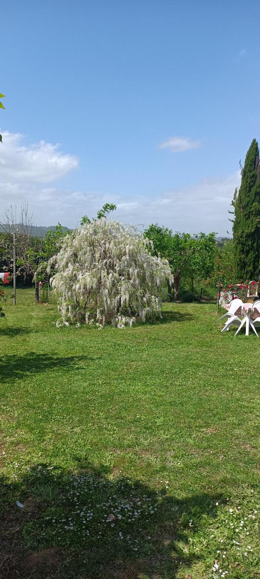 Colle Perazzoni Apartman Fiano Romano Kültér fotó