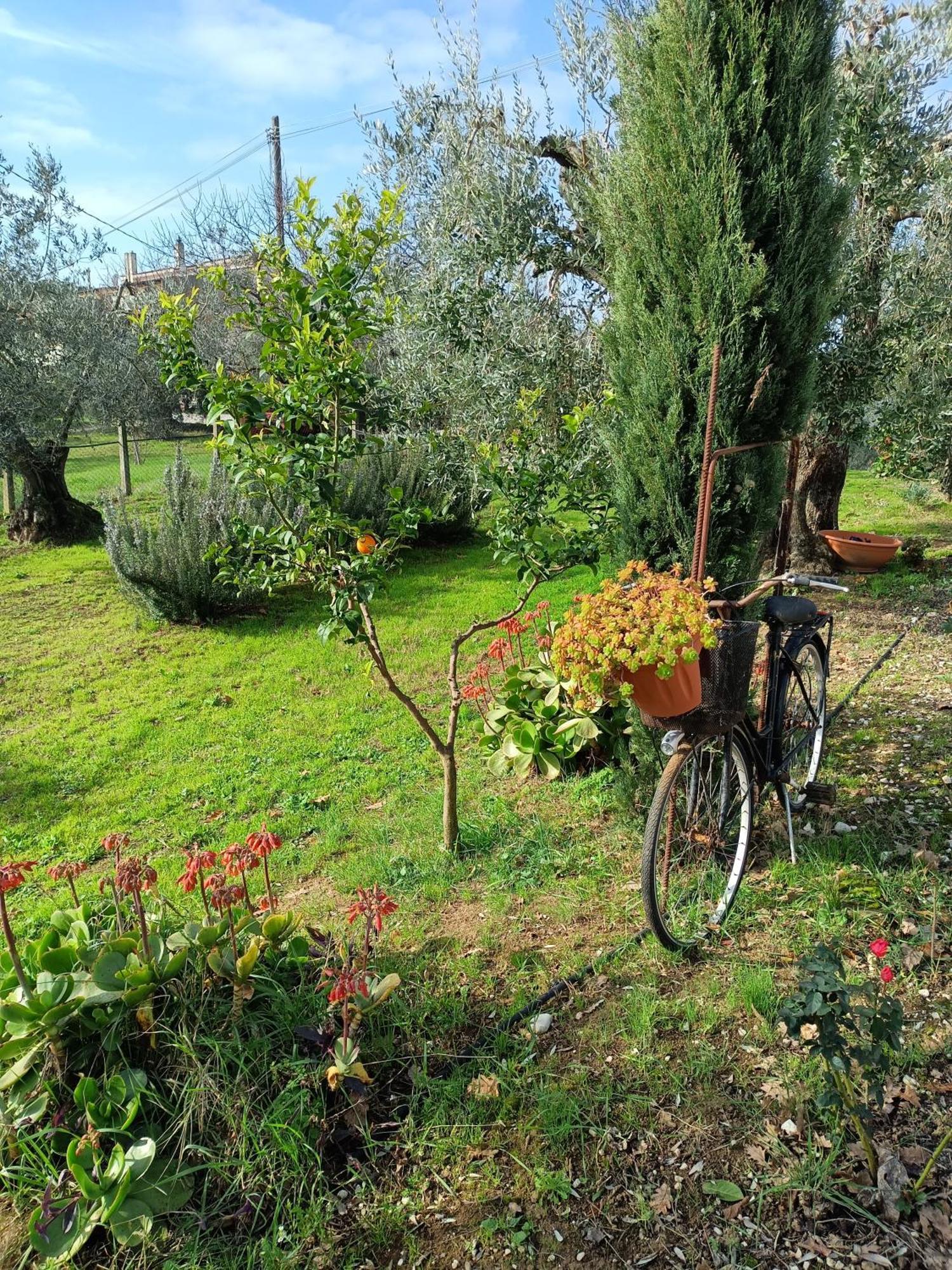 Colle Perazzoni Apartman Fiano Romano Szoba fotó