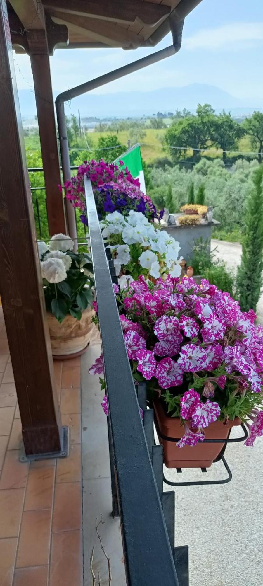 Colle Perazzoni Apartman Fiano Romano Kültér fotó