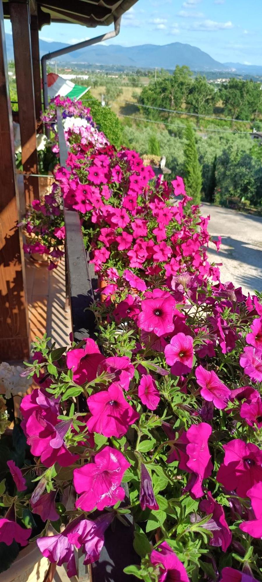 Colle Perazzoni Apartman Fiano Romano Kültér fotó