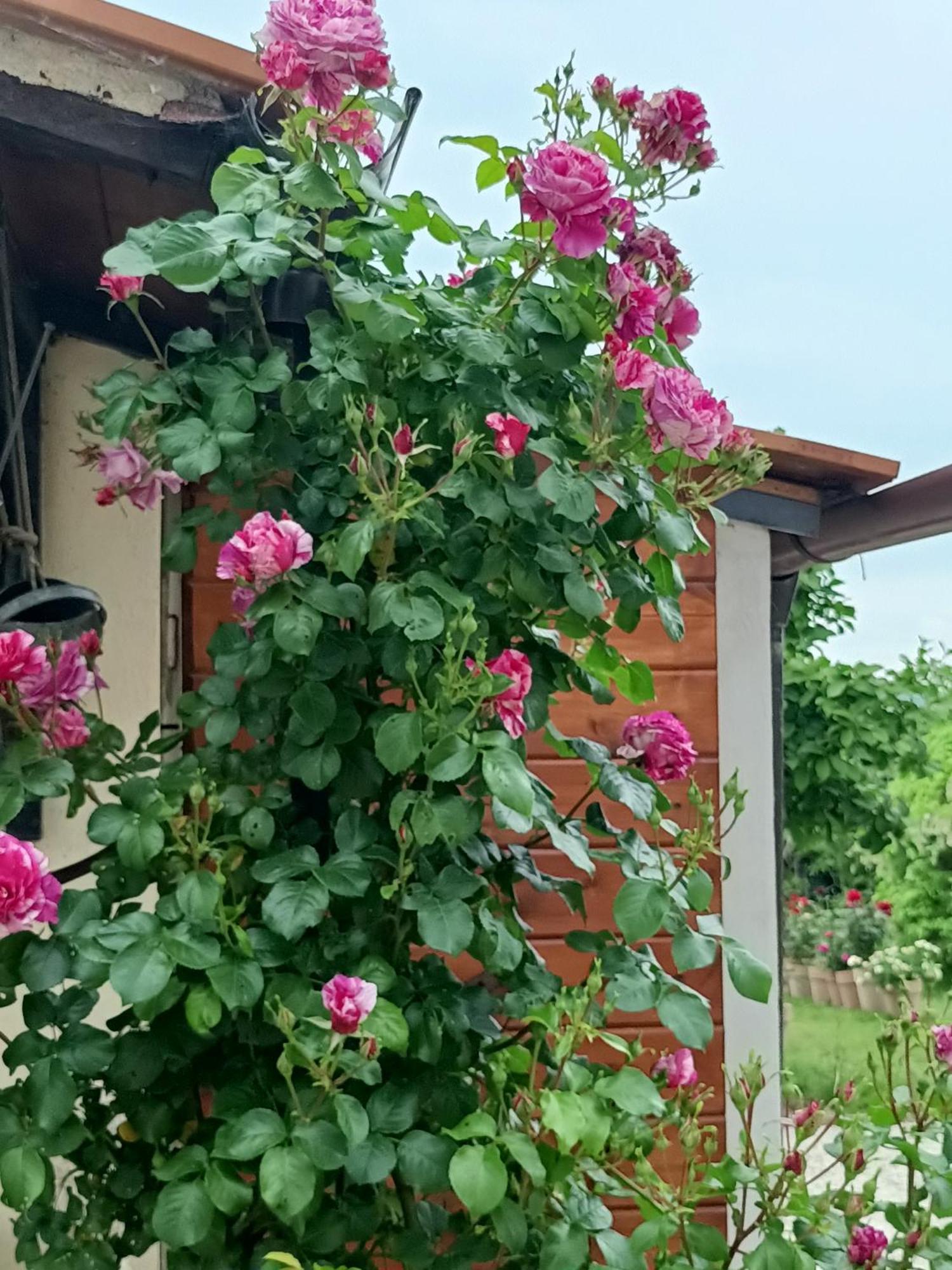 Colle Perazzoni Apartman Fiano Romano Kültér fotó